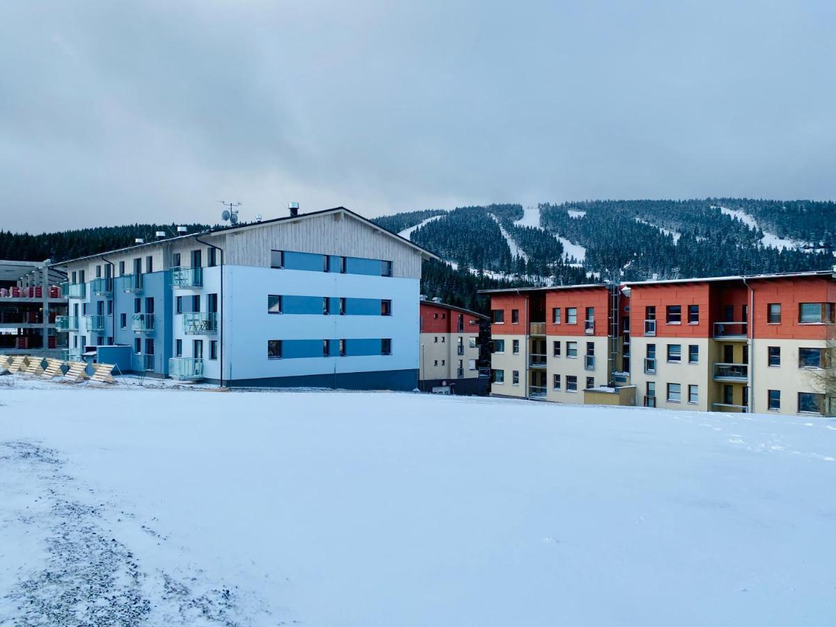 Luxury Keilberg Apartment Loučná pod Klínovcem Zewnętrze zdjęcie
